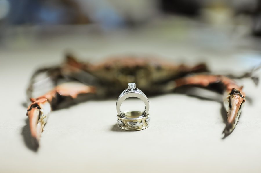 Ring photo with a Maryland crab at the Baltimore Yacht Club. Captured by Baltimore wedding photographer Ben Lau.