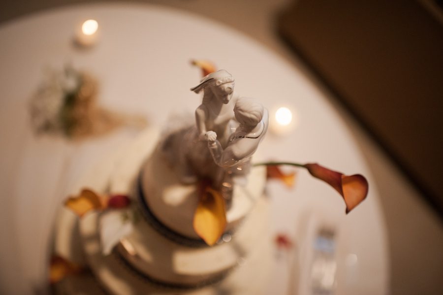 Wedding cake topper at Lauren and Tony's wedding reception at The Belvedere Hotel in Baltimore, MD. Captured by Ben Lau Photography.