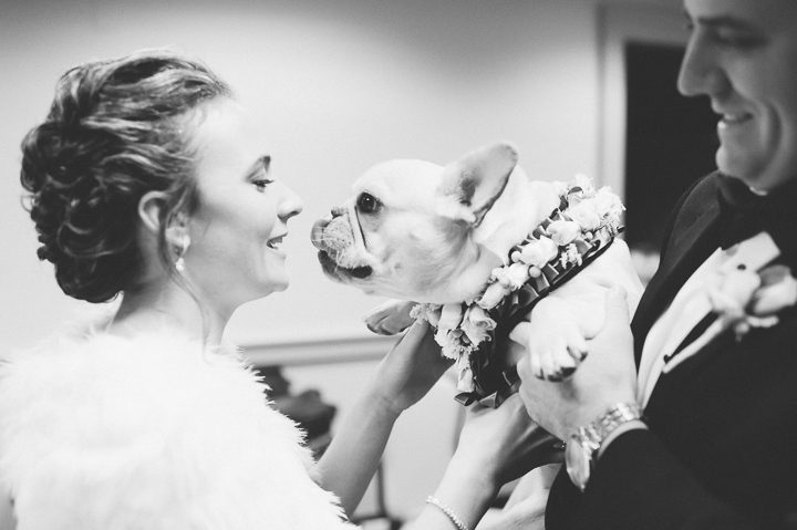 Dog kisses the bride at the Franklin Institute in Philadelphia. Captured by NYC wedding photographer Ben Lau.