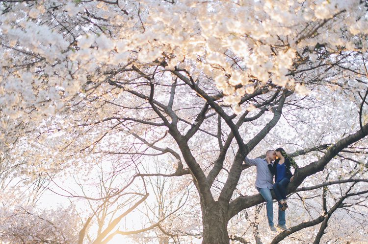 NJ Cherry Blossoms engagement session in Branch Brook Park captured by NJ wedding photographer Ben Lau.